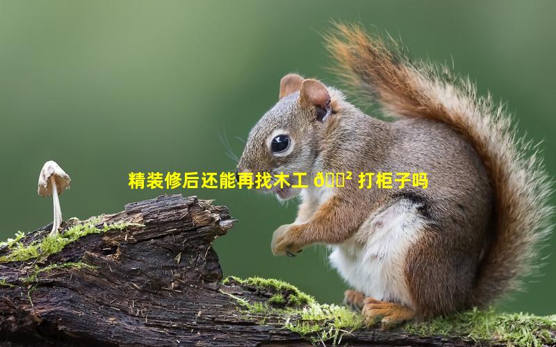 精装修后还能再找木工 🌲 打柜子吗